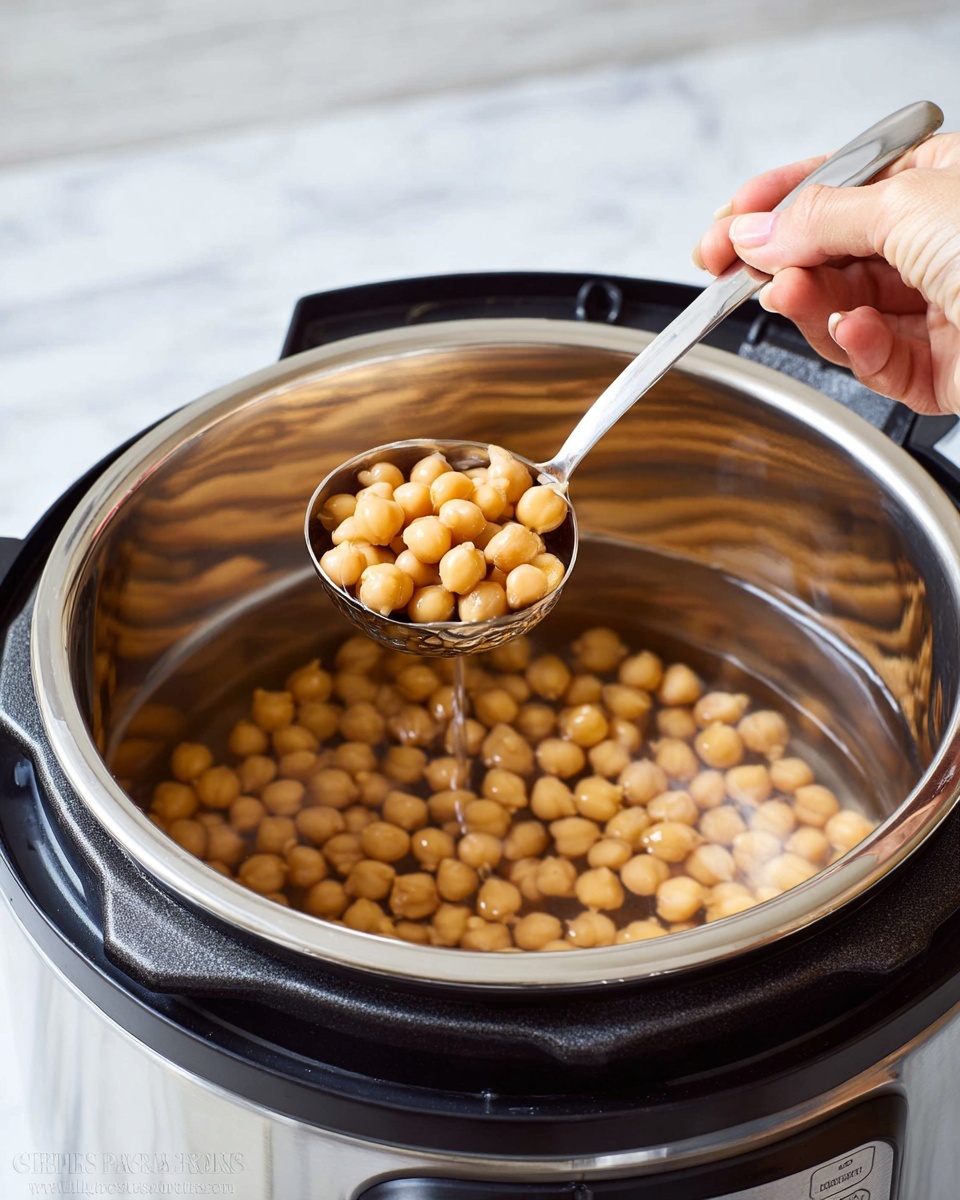 Instant Pot Chickpeas (No Soaking Required) Recipe - Recipe Image