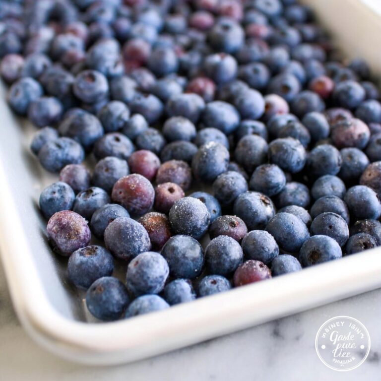 How to Freeze Blueberries Recipe